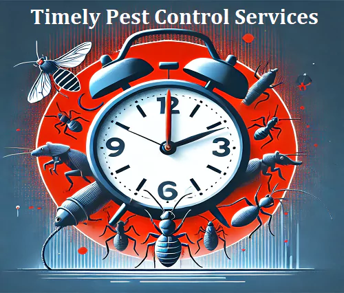Same Day Pest Control Carlton